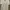 GUCCI GARDEN RARE VINTAGE LOGO PRINT TEE EMBROIDED ITALY photo 2
