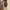 Louis Vuitton Casual Hobo bag Wanita brown photo 7