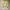 one set yellow cardi photo 1