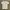 Stussy Basic T-shirt photo 1