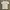 Stussy Basic T-shirt