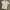 Stussy Basic T-shirt photo 2