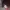 Nike Air max TN Carbon  photo 1