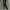 LEGGING HANGTEN GYM RUNNING TAPPED photo 1