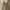 Blouse babydoll cream  pita lengan balon  photo 3
