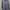 Bluose  photo 1