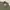 Beverly Hills Polo Club Flannel Shirt Green photo 2