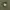 Beverly Hills Polo Club Flannel Shirt Green photo 5