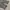 Tremolo Flannel Shirt Long Sleeve White  photo 5