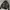 Windbreaker le coq x Peugeot  photo 1