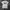 Stussy Basic tee photo 1