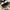 adidas spezial second original photo 3