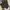 adidas spezial second original photo 4