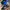 adidas spezial second original photo 2