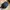 Rip Curl Men's Dreaming Trucker HAT Black photo 3