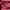 Fjällräven Casual Handbag Wanita pink photo 2
