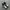 nike jordan photo 3