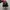 nike jordan photo 4