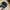 Volcom Fitted Hat Black Embroidered Suede photo 6