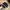 Volcom Fitted Hat Black Embroidered Suede photo 5