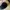 Volcom Fitted Hat Black Embroidered Suede photo 3