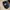 Volcom Fitted Hat Black Embroidered Suede photo 7