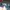 TOPI BASEBALL THRIFTING BRAND ATARU NON FITTED HATS CAPS CAP photo 2