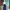 LONG DRESS NAVY HOT photo 3