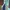 LONG DRESS NAVY HOT photo 2