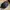 Billabong Men's Classic Trucker Hat Black photo 7