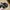 Billabong Men's Classic Trucker Hat Black photo 6