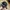 Billabong Men's Classic Trucker Hat Black photo 5