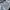 Adidas Streetwear Sportswear Short Pria white black photo 3