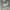 charles n keith white shoulder/sling bag photo 1