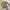 Y2k Coquette Fairy Long Sleve  photo 1