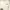 The North Face Vintage Sweatshirt Pria White