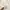 The North Face Vintage Sweatshirt Pria white photo 4
