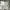 Long Wallet Michael Kors White photo 3