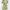 H&M Fairy Summer Dress Wanita Green