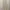 2in1 skirt/dress cream coquette photo 1