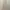 2in1 Skirt/dress Cream Coquette