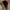AMIRI Gorpcore Fairy Hat Wanita brown photo 5