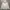 Carhartt Streetwear Vintage Hoody Pria White Gray