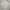 Carhartt Streetwear Vintage Hoody Pria white gray photo 3