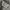 Carhartt Streetwear Vintage Hoody Pria white gray photo 7