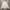Carhartt Streetwear Vintage Hoody Pria white gray photo 2