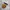 Carhartt Streetwear Casual Bag Pria brown photo 2