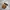 Carhartt Streetwear Casual Bag Pria Brown