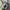 Nike Streetwear Y2K Bag Pria black gray photo 2