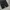 Spao nylon parachute wide balloon pants photo 5